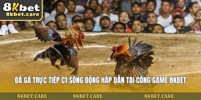 Đá Gà Trực Tiếp C1 Sống Động Hấp Dẫn Tại Cổng Game 8KBET