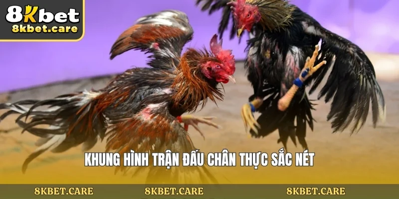 Khung hình trận đấu chân thực sắc nét